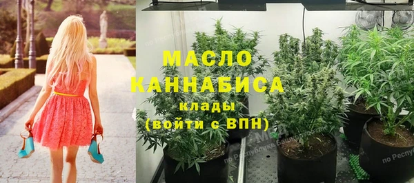 меф Вяземский