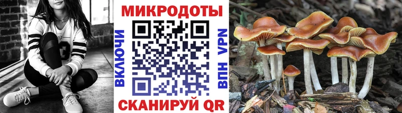 kraken маркетплейс  купить наркотик  Кимовск  мориарти официальный сайт  Псилоцибиновые грибы Psilocybe 